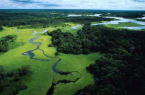 Amazónia egy védett területét engedik át a bányászatnak Brazíliában