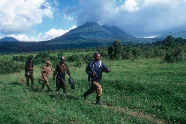 Virunga Nemzeti Park
Forrás: WWF
Szerző: Martin Harvey