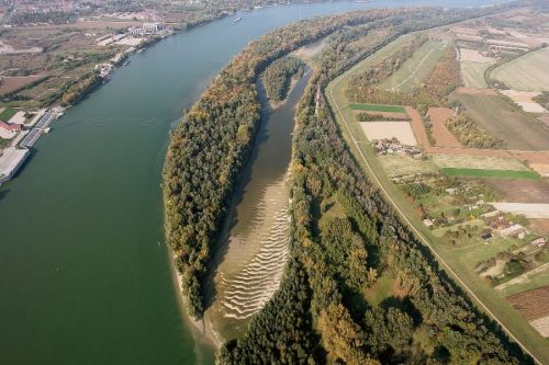 Helyreállítják a Duna élővilágát