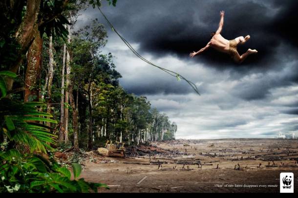 Percenként 1500 hektár esőerdő tűnik el
Forrás: WWF