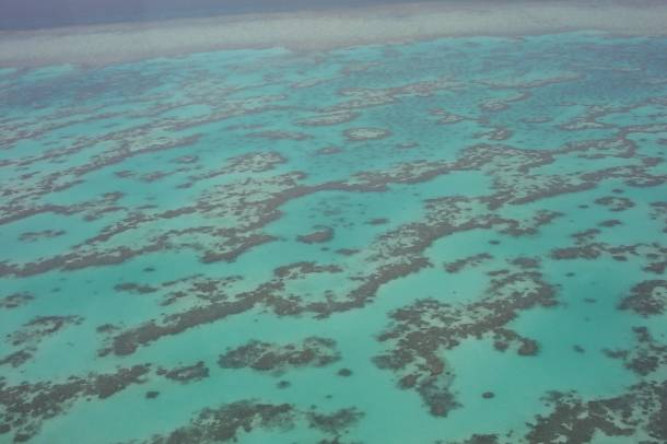 Nagy-korallzátony
Forrás: hu.wikipedia.org