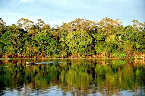 Amazónia
Forrás: www.flickr.com
Szerző: Andre Deak