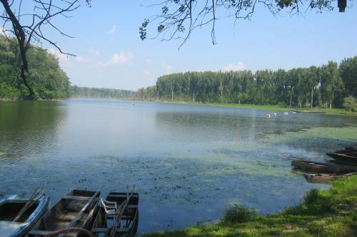 Természetfotózás a Tisza-tónál