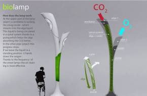 4 zseniális zöld innovátor