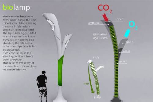 4 zseniális zöld innovátor