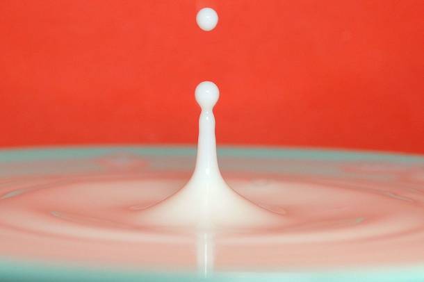 A tej új életre kel
Forrás: commons.wikimedia.org