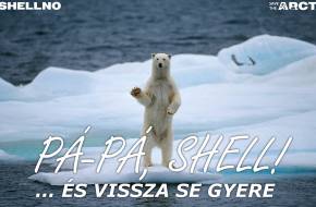 Levonul a Shell az Északi-sarkvidékről!