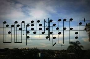 Zene a madarak kottájából