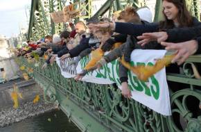 Climate March Budapest: Tettek és levelek egy szebb jövőért!