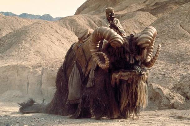 Bantha, hátán egy buckalakóval (tusken)
Forrás: starwars.com
Szerző: Lucasfilm