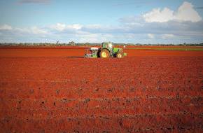 Az ember a talajt is tönkreteszi: A termőföld állapota elkeserítő, veszélyben a mezőgazdaság is!