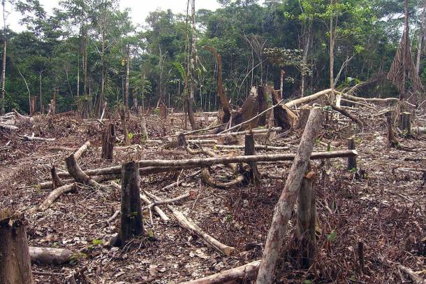 Erdőirtás Kolumbiában
Forrás: commons.wikimedia.org