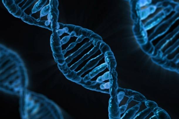 A kutatók a génmutációt vizsgálták
Forrás: pixabay.om