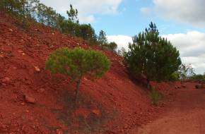 Marsbéli tájon készülnek a vörös bolygó meghódítására Spanyolországban