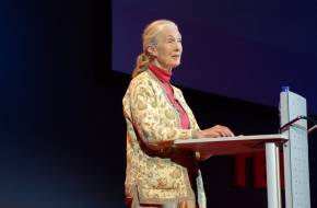 Jane Goodall a grizzlyk védettsége mellett kampányol