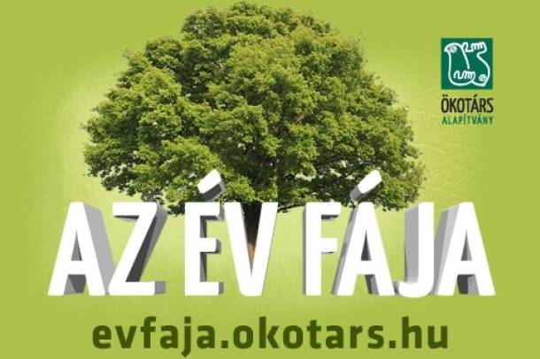 Az év fája verseny
Forrás: evfaja.okotars.hu
Szerző: evfaja.okotars.hu