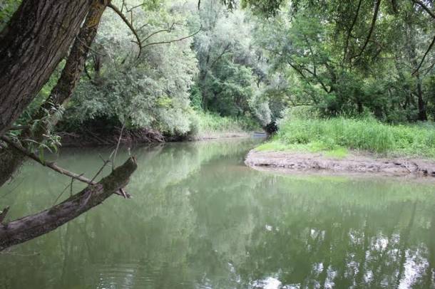 Ez a holtág a Dráva folyó bal partján található leghosszabb egykori folyókanyarulat 
Forrás: WWF
