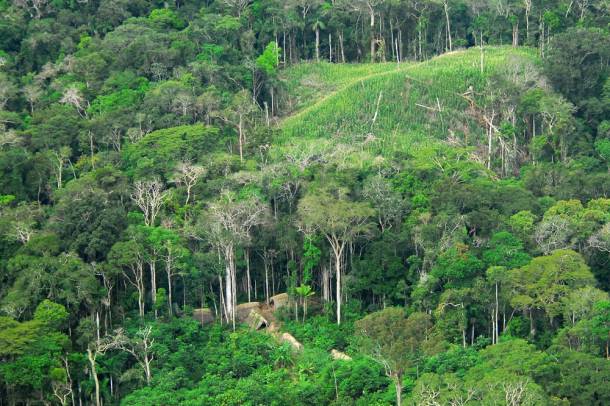 Érintetlen őslakos falu Amazóniában
Forrás: wikipedia.org