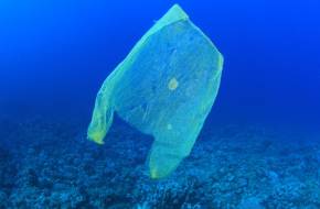 Hajtóvadászat a műanyagzacskók ellen?