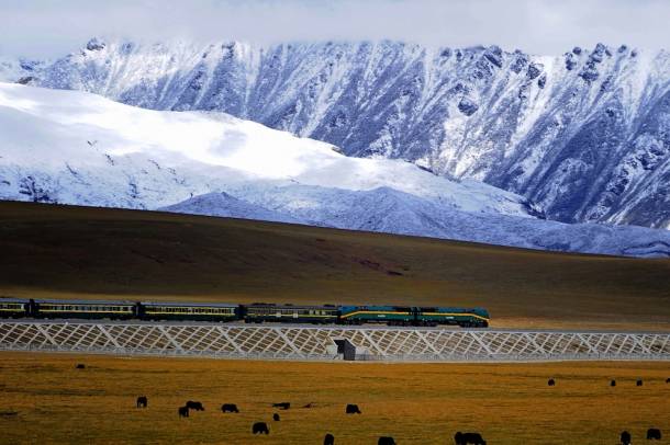 Qinghai–Tibet vasútvonal
Forrás: commons.wikimedia.org
Szerző: Jan Reurink