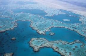 Ötvenhat milliárd ausztrál dollárra becsülték a Nagy-korallzátony értékét