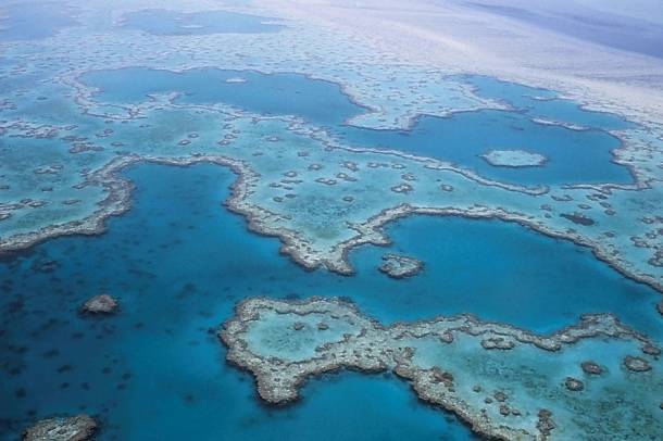 A Nagy-korallzátony Ausztrália partjainál
Forrás: pixabay.com