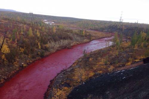 Vérvörössé vált egy észak-oroszországi folyó: Feltehetően ipari baleset történt