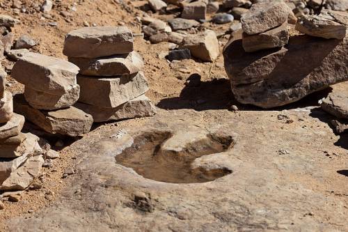 Gigantikus dinoszaurusz-lábnyomot fedeztek fel a Góbi sivatagban