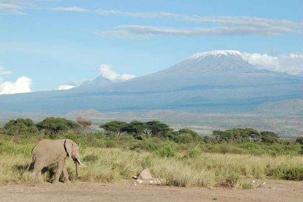 Kilátás a Kilimandzsáróra
Forrás: wikipedia.org