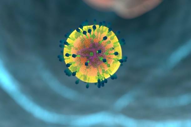 Influenzavírus
Forrás: pixabay.com