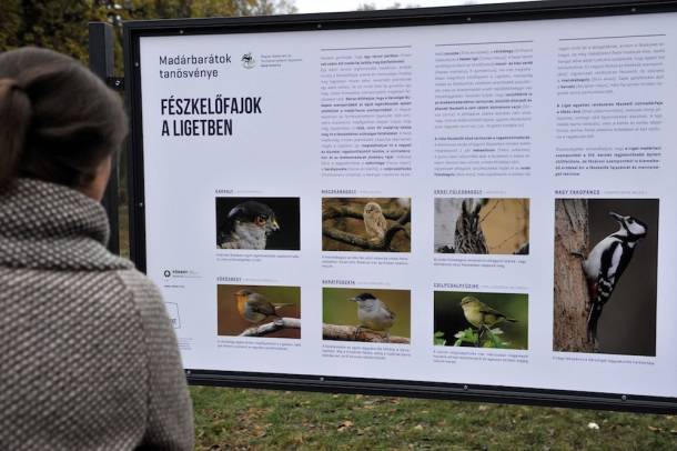 Tájékoztató tábla a városligeti madárbarát mintakertben
Forrás: MTI
Szerző: Kovács Attila