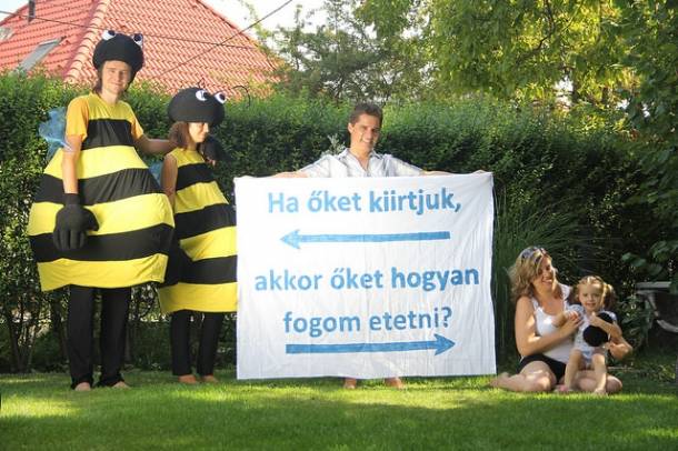 A Greenpeace célja, hogy az új év kezdetéig 100 méhmenedéket állítson fel szerte az országban.
