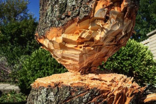 A nemzetközi sajtóban több tényfeltáró riport látott napvilágot arról, hogy a Schweighofer illegálisan kitermelt fát is átvesz romániai fafeldolgozóiban
Forrás: pixabay.com