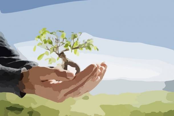 A Környezet Védelméért Díjat kapott az FKF és az Agriapipe
Forrás: pexels.com