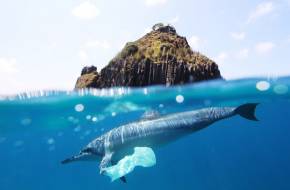 Így is lehet újrahasznosítani: A Dell óceáni hulladékba csomagolja prémium modelljét