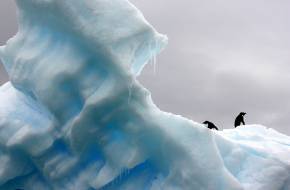 Az eddig mért legalacsonyabb a déli-sarkvidéki tengeri jég minimális kiterjedése is