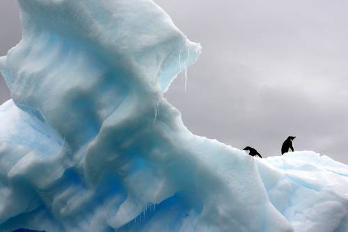 Az eddig mért legalacsonyabb a déli-sarkvidéki tengeri jég minimális kiterjedése is