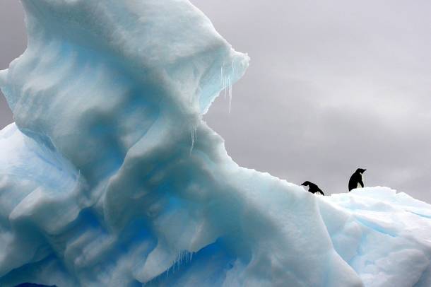 Az eddig mért legalacsonyabb a déli-sarkvidéki tengeri jég minimális kiterjedése is
Forrás: pexels.com