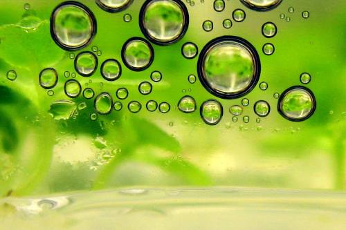 Biobenzin cellulózból - Új módszert dolgoztak ki a bioüzemanyagok előállítására belga és magyar kutatók