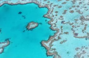 Katasztrofális mértékű korallfehéredés sújtja az ausztrál Nagy-korallzátony északi és középső harmadát!