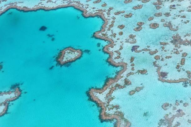 Madártávlatból az ausztrál Nagy-korallzátony
Forrás: pixabay.com