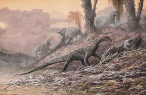 A krokodilokéhoz hasonló járása volt a dinoszauruszok egyik legkorábbi ismert rokonának
