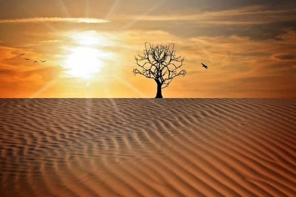 Aszály, elsivatagosodás - a kép illusztráció
Forrás: pexels