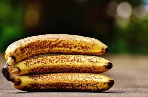 Naponta 1,4 millió ehető banánt dobnak a szemétbe a britek