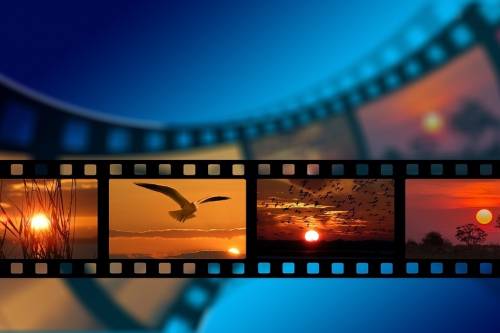 Egy nap múlva kezdődik a gödöllői Nemzetközi Természetfilm Fesztivál!