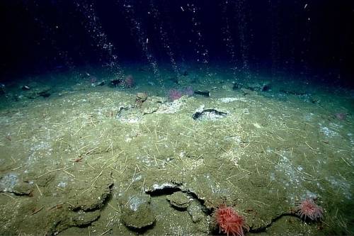 Nagy mennyiségű metán Jeges-tengerben