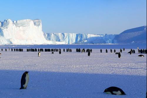 A kelet-antarktiszi jégtakaró akkor is stabil marad, ha a nyugati jégmezők elolvadnak