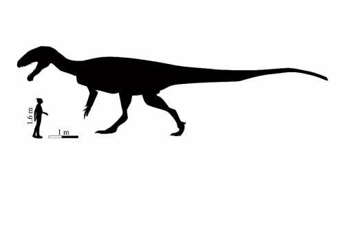 Hatalmas húsevő dinoszaurusz élt 200 millió évvel ezelőtt a mai Dél-Afrika területén