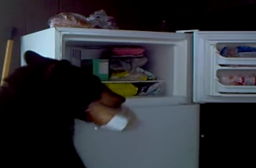 Segítség! Egy medve kirámolta a hűtőszekrényt!