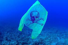 Műanyag-apokalipszis: Már az Északi-sarkot is veszélyezteti a műanyaghulladék
